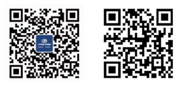 “金沙1963”微信公众号